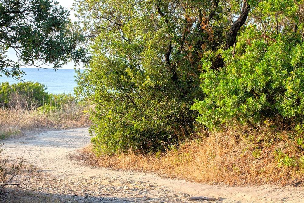 Linguizzetta Bagheera Village Naturiste מראה חיצוני תמונה